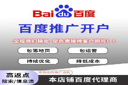 百度竞价广告与自然搜索排名的结合策略案例